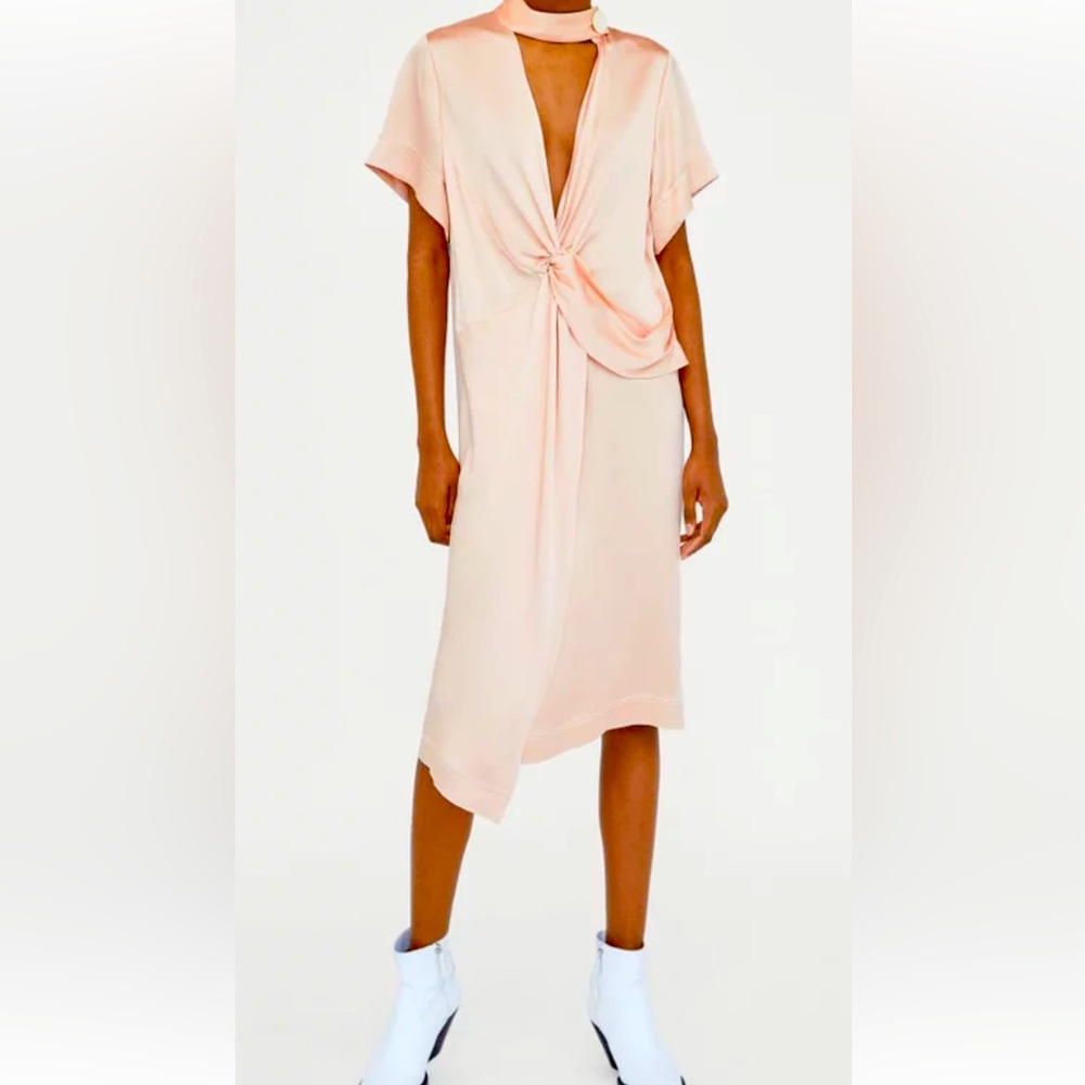 Zara Dress